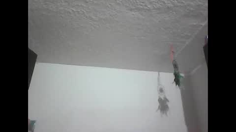 Zafiro online show from November 5, 7:30 pm