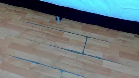 zia online show from February 21, 12:17 pm