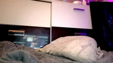 zzarraaa online show from November 11, 8:28 pm