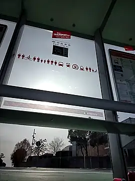 bellapaty online show from November 29, 12:31 pm