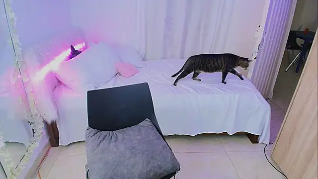 Nanami 19 online show from November 7, 6:24 pm