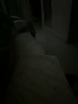 EleonoraMora86 online show from January 12, 2:06 am