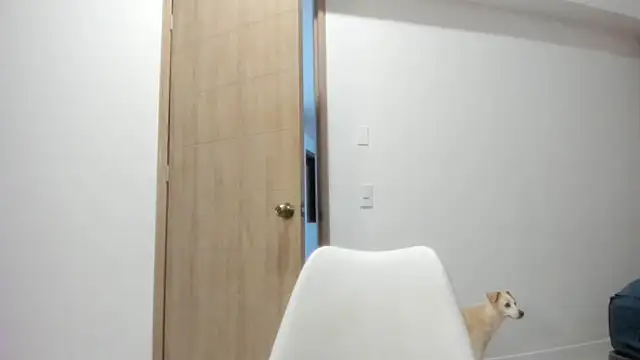 Vera Fernandez online show from April 10, 11:33 pm