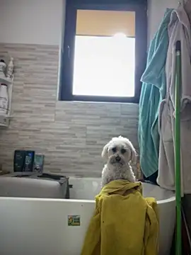 HotXMom online show from April 23, 6:32 am