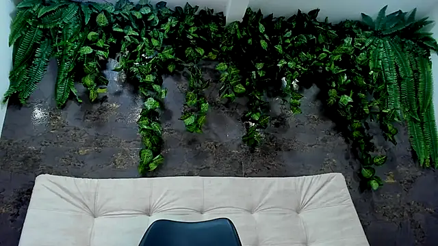 alice greco online show from December 15, 8:14 pm