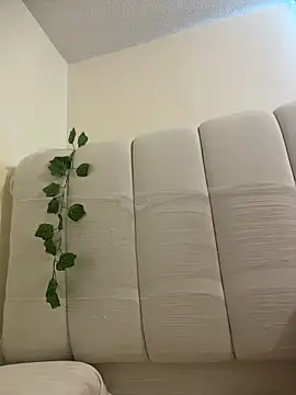 Megan Rodrigo online show from April 6, 12:50 pm