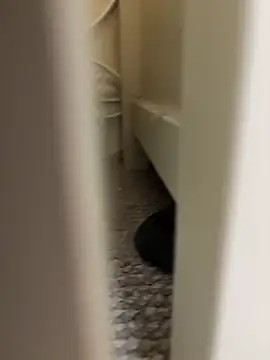 xxcurvyjessiexx online show from February 17, 8:30 pm