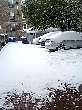 AmazonianMistress online show from November 10, 7:31 pm