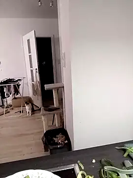 divine eve online show from March 14, 5:14 pm