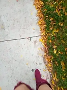 HeyyImHarlowe online show from October 23, 7:42 pm