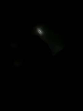 NASTY BOBO online show from October 31, 4:22 pm