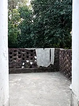 Miss Ayesha online show from October 16, 10:18 am