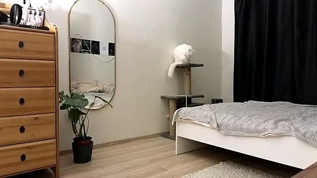 vse horosho online show from November 13, 5:23 pm