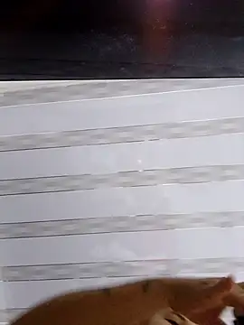 Liancy online show from March 13, 5:20 am