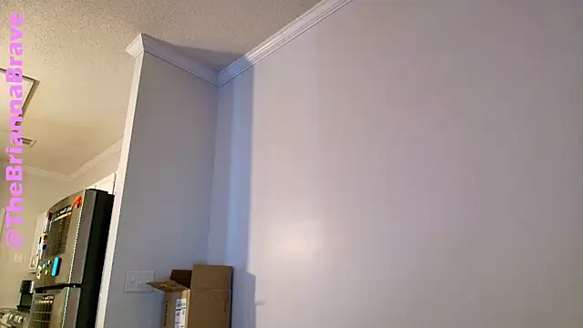 BriannaBrave online show from February 11, 7:26 pm