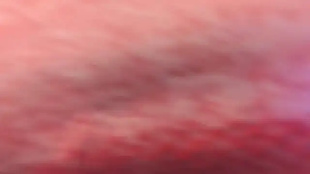 Paulina g3 online show from April 11, 12:17 am