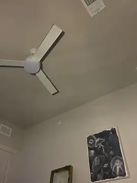 goldbuni online show from December 19, 3:54 am