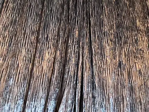 Snapshot of Mika_Miller chatting on October 15, 5:04 pm Mika Miller online show from October 15, 5:04 pm