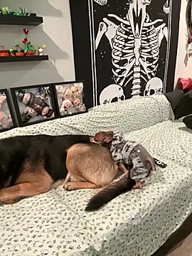 ThicBunz online show from April 5, 8:19 pm