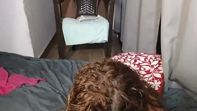 hikary hall online show from March 10, 6:06 am