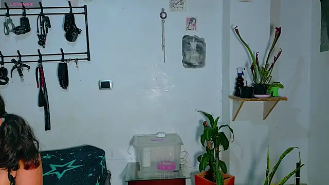 clydexxxbunny online show from June 6, 3:24 am