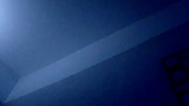 DreamTeamX online show from November 29, 1:15 pm