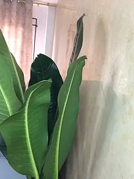 EmmaRossem online show from March 31, 7:36 pm