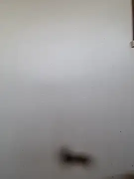 BriannaVincent online show from November 20, 6:03 am