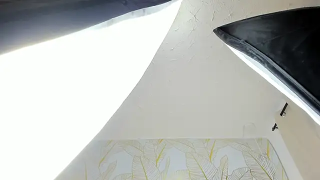 Alison Chan  online show from March 29, 10:53 pm