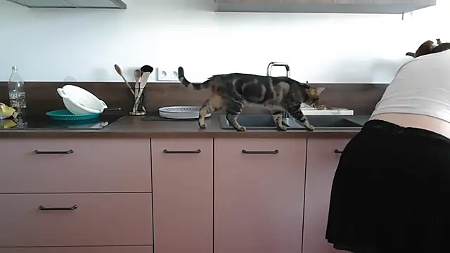 Maline26  online show from September 12, 12:12 pm