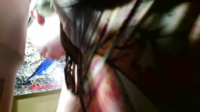 GraceHenderson online show from February 19, 3:39 am