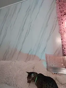 Nanda Vixen online show from December 19, 7:06 pm