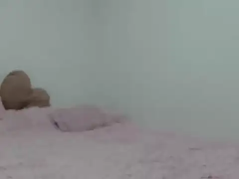 milfevha online show from March 30, 12:10 am