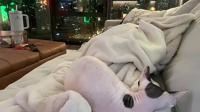 Graciemae baexx online show from December 23, 3:54 am