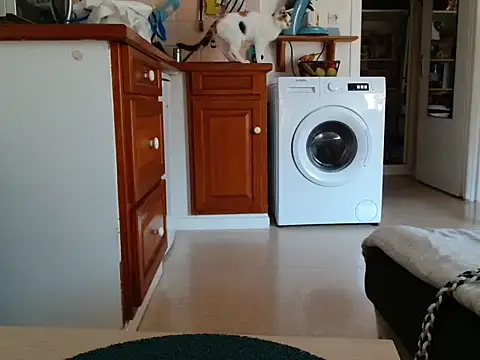 Snapshot of Lauzo21 chatting on September 18, 10:03 am Lauzo21 online show from September 18, 10:03 am