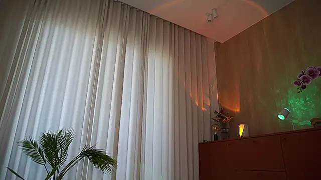 DreamSofia online show from December 19, 10:40 am