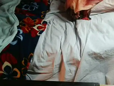 VeneRed online show from April 18, 7:29 pm