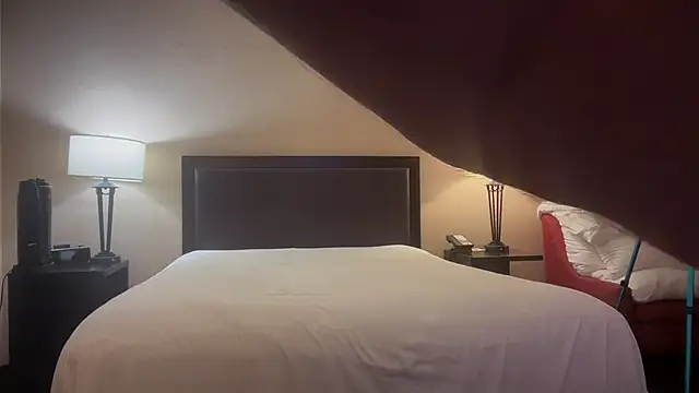 GymBoyVan online show from October 1, 4:39 am