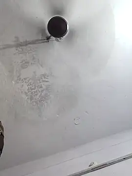 sana14 online show from October 6, 10:14 pm