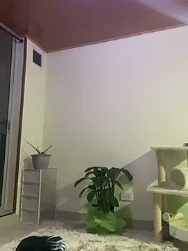 Gaby Tailor online show from April 27, 3:14 am