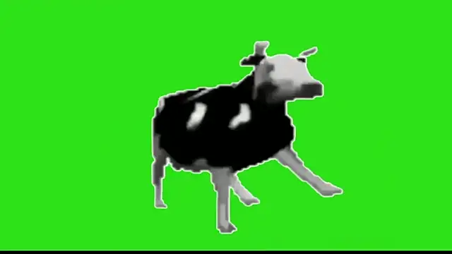 awesome anna online show from February 13, 10:50 am