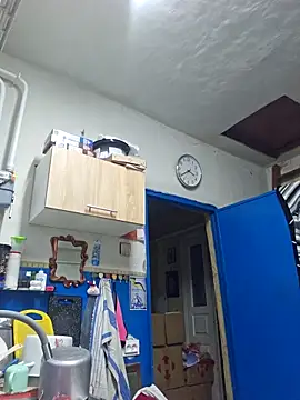 Jyleta online show from November 7, 1:38 pm