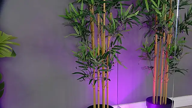 PatriciaSpice online show from September 20, 5:39 am