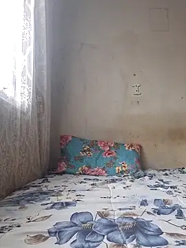 novinhatransexy online show from December 16, 6:03 pm