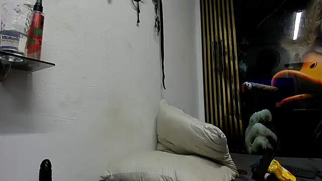 michell78sexy online show from November 29, 3:21 am