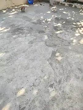 indian couple4 online show from March 11, 4:17 am