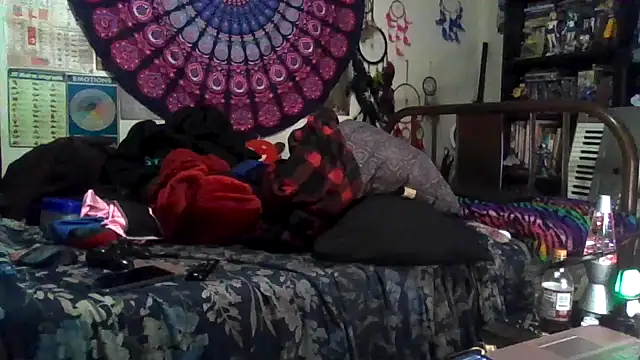 GardeniaFields online show from November 26, 8:26 am