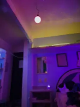 LoganPeny online show from December 3, 7:22 am