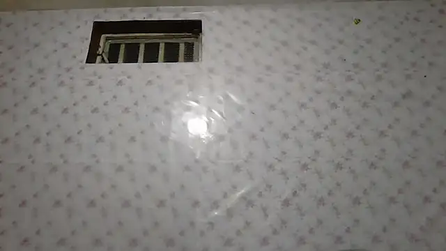 Roselingalvis13 online show from January 16, 3:46 am