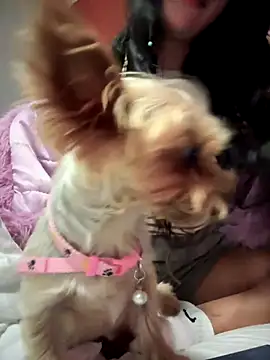 Ofcourseoneday online show from September 19, 11:53 am